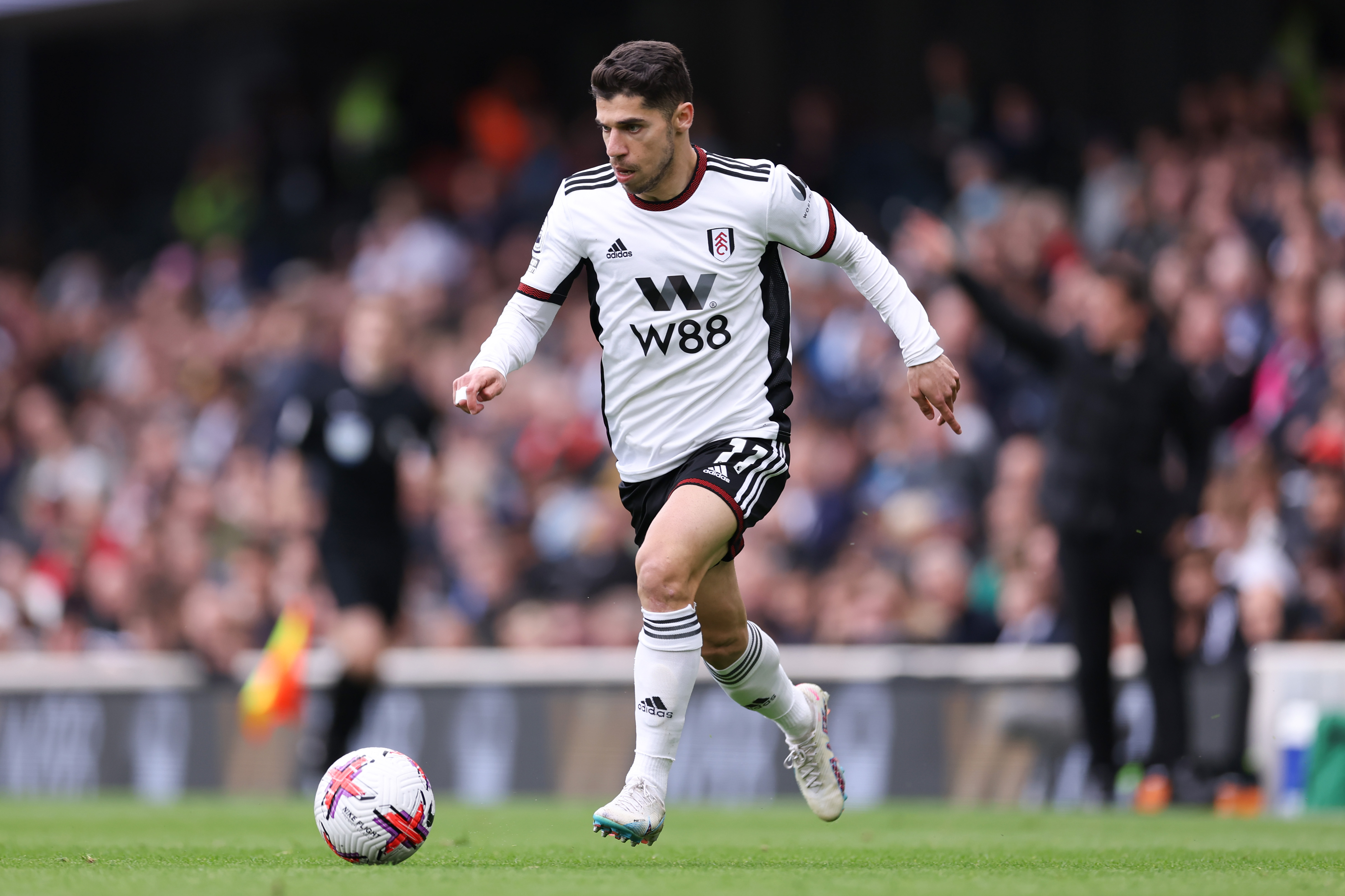 Manor Solomon has impressed at Fulham this term
