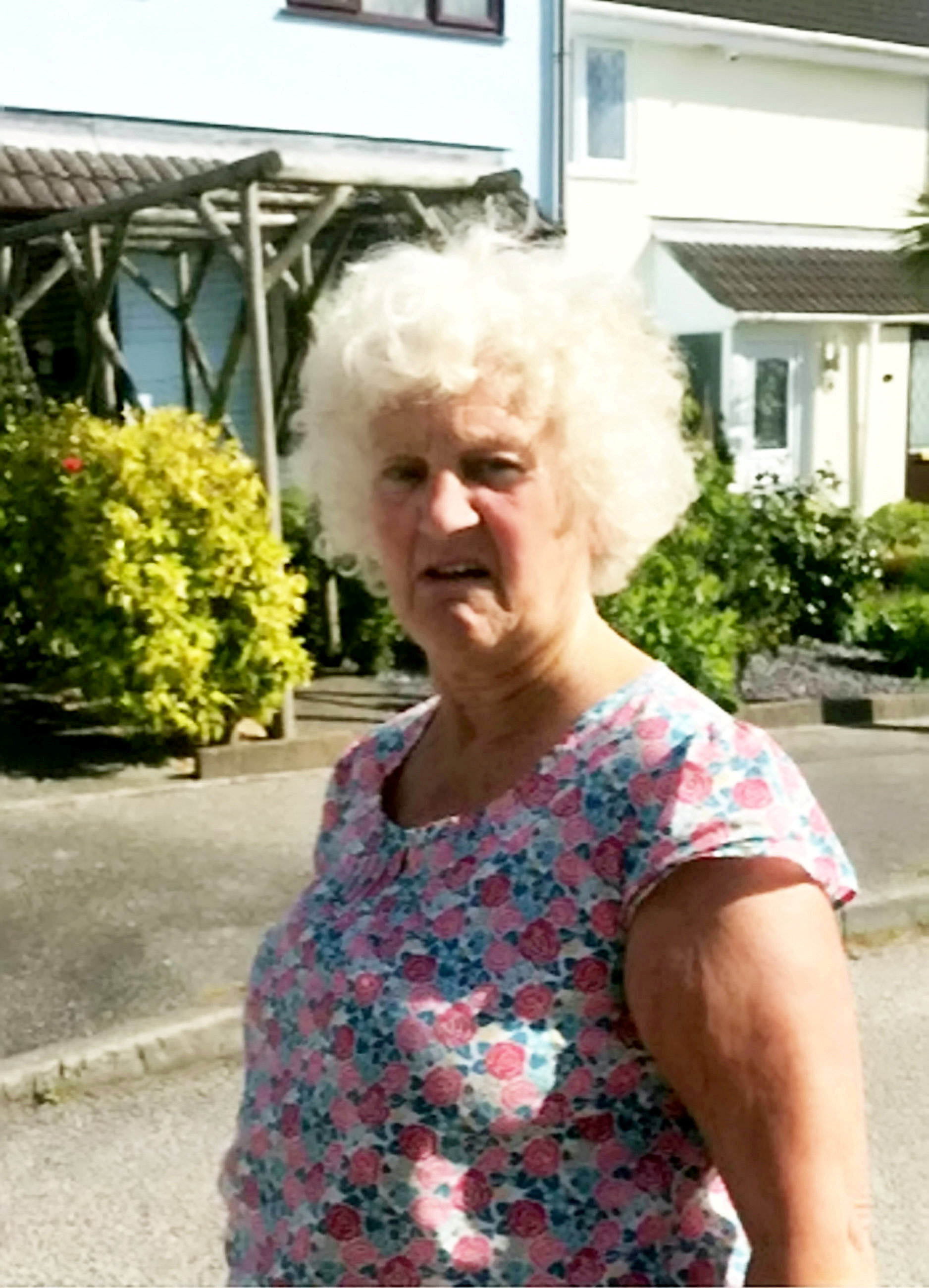 Barbara Minns killed her neighbours’ plants, flung dog poo into their garden and tried to poison their cat, a court heard