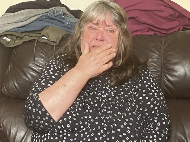 Sharon Boltwood bursts into tears as she told how her view has been obliterated by her neighbour’s fence